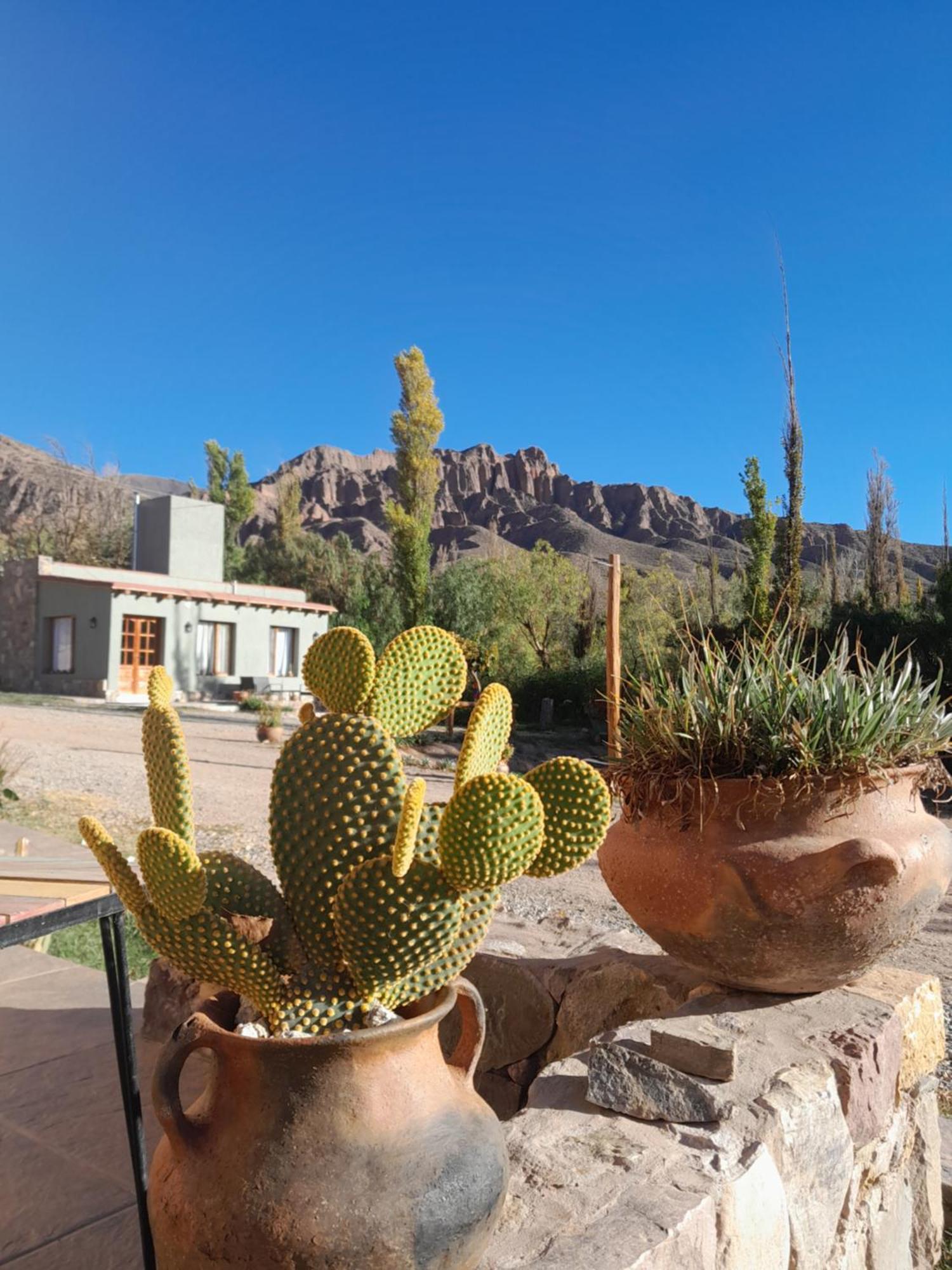 Tierra Primitiva Apartment Tilcara Exterior photo